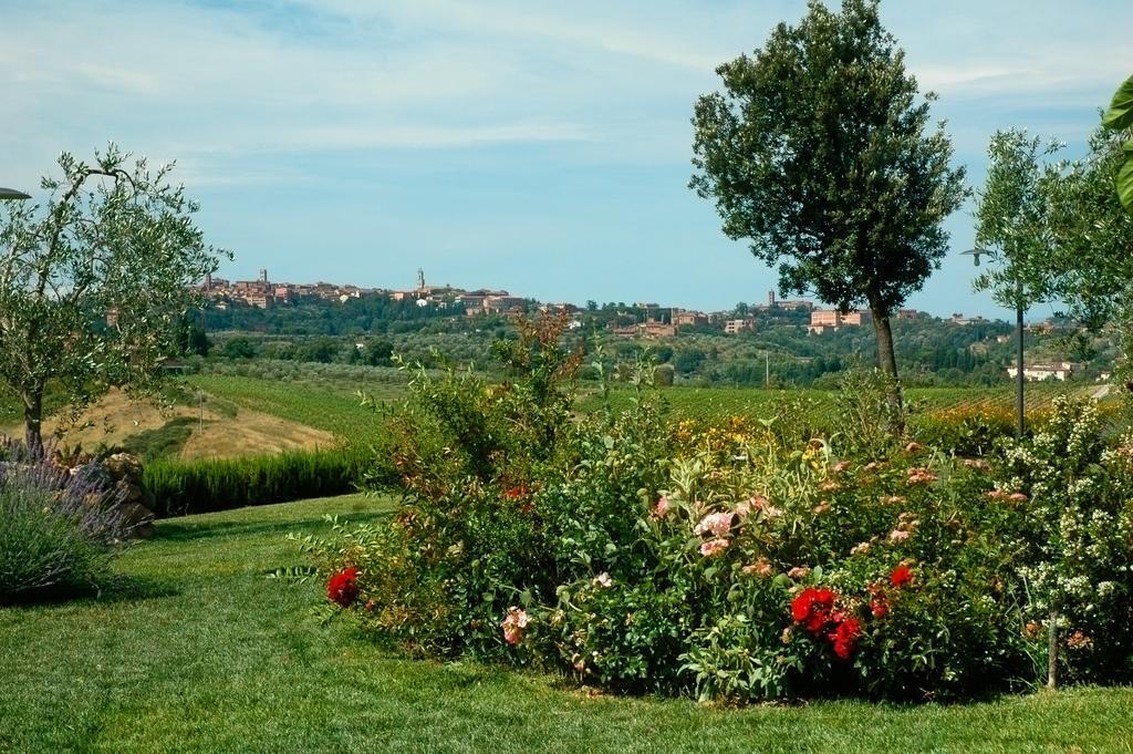 Bed and Breakfast Aia Mattonata Relais Siena Zewnętrze zdjęcie