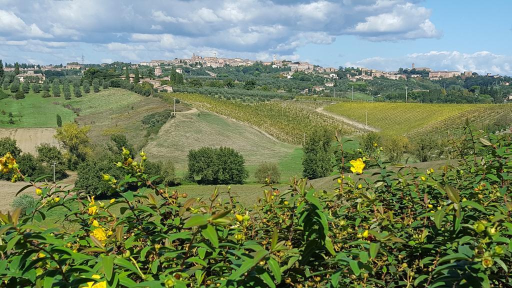 Bed and Breakfast Aia Mattonata Relais Siena Zewnętrze zdjęcie