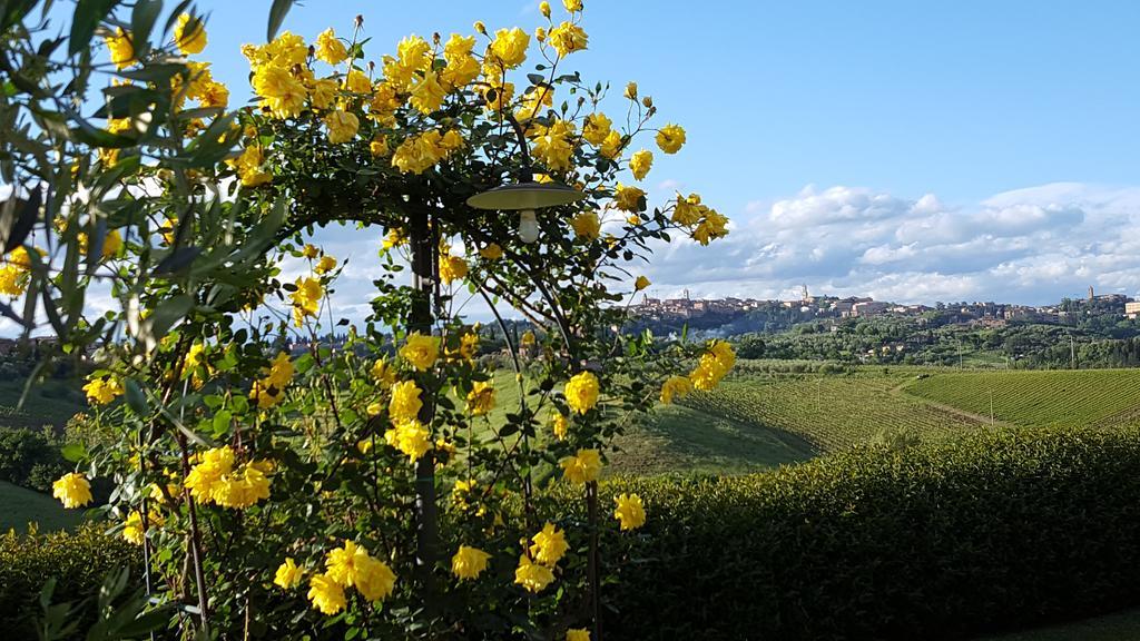 Bed and Breakfast Aia Mattonata Relais Siena Zewnętrze zdjęcie