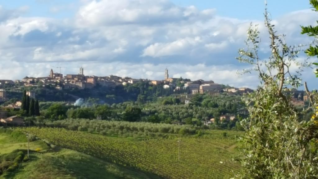 Bed and Breakfast Aia Mattonata Relais Siena Zewnętrze zdjęcie